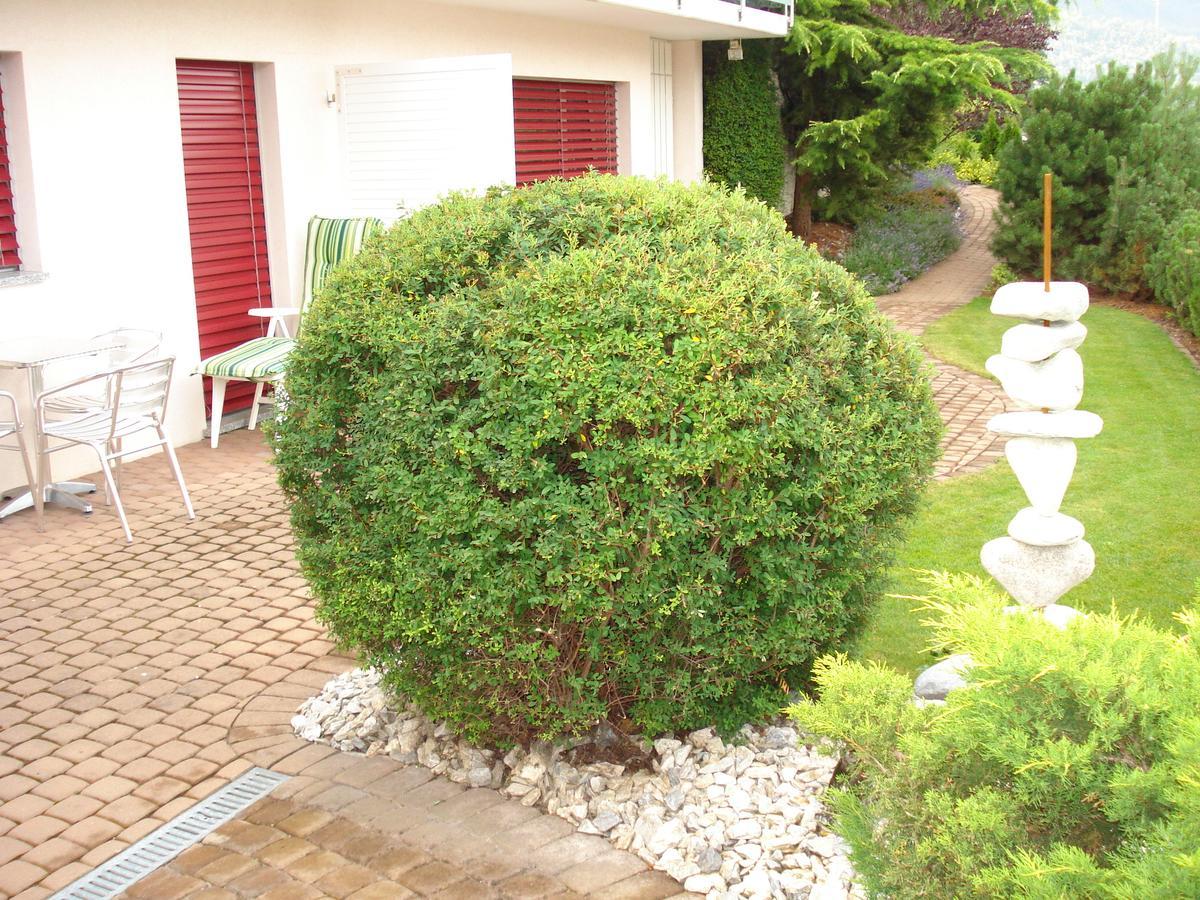 Ferienwohnung Lenggenhager Plantzette Sierre Extérieur photo